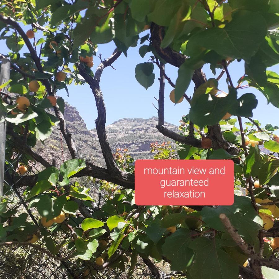 ホテル La Finca Del Don Ganapati San Bartolomé エクステリア 写真